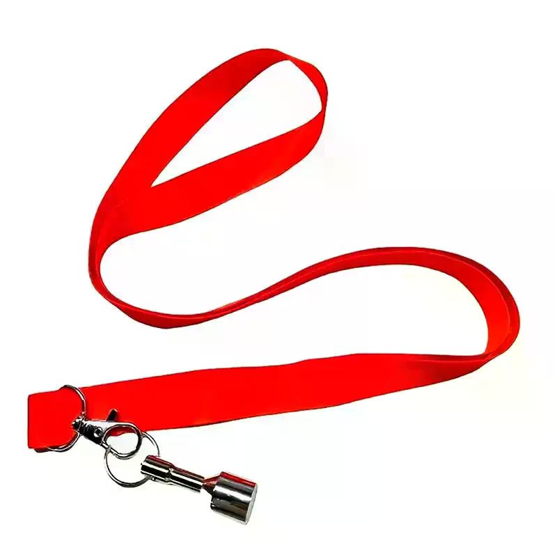 Magnetic Ball Throwing Picker  - Outdoor Sports Activities recension och pris